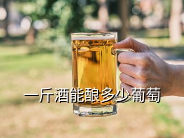 一斤酒能釀多少葡萄