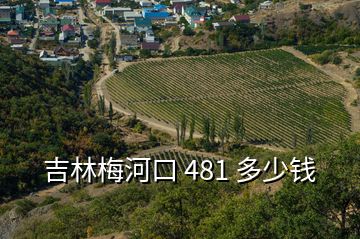 吉林梅河口 481 多少錢