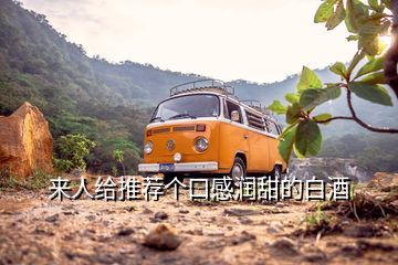 來人給推薦個(gè)口感潤甜的白酒