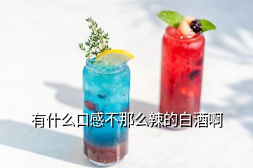 有什么口感不那么辣的白酒啊