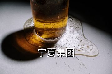 寧夏集團