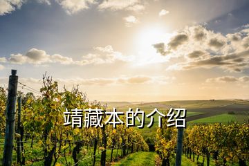 靖藏本的介紹