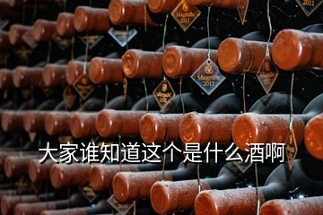 大家誰知道這個是什么酒啊