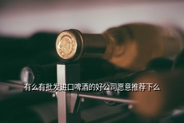 有么有批發(fā)進口啤酒的好公司愿意推薦下么