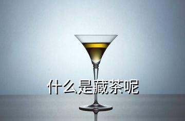 什么是藏茶呢