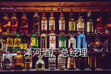 洋河酒廠總經(jīng)理