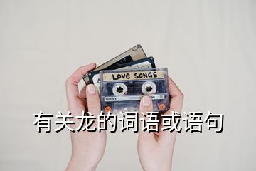 有關(guān)龍的詞語或語句