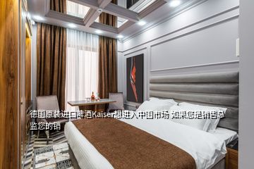 德國原裝進口啤酒Kaiser想進入中國市場 如果您是銷售總監(jiān)您的銷