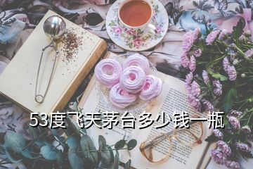 53度飛天茅臺多少錢一瓶