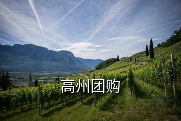 高州團購