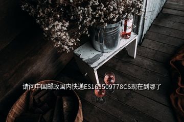 請問中國郵政國內(nèi)快遞ES163509778CS現(xiàn)在到哪了