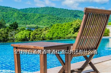 全球除白酒黃酒啤酒紅酒以外還有什么酒