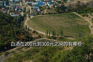 白酒在200元到300元之間的有哪些