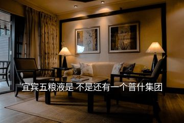 宜賓五糧液是 不是還有一個普什集團