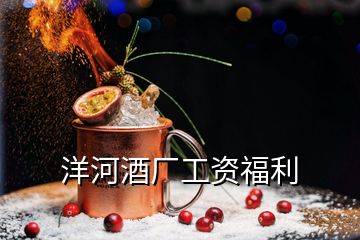 洋河酒廠工資福利