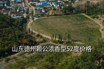 山東德州賴公濃香型52度價格