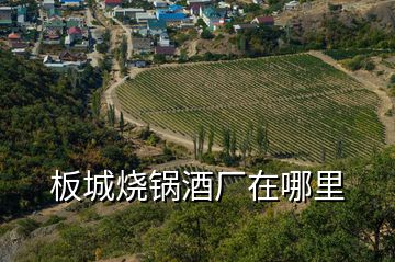 板城燒鍋酒廠在哪里