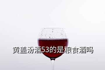 黃蓋汾酒53的是糧食酒嗎