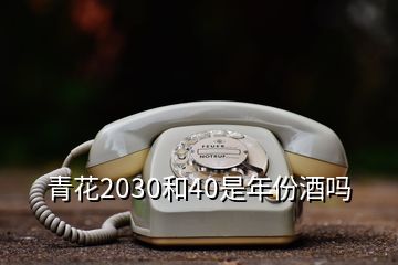 青花2030和40是年份酒嗎