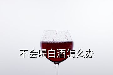 不會(huì)喝白酒怎么辦