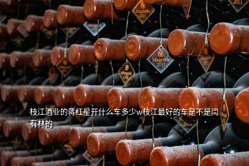 枝江酒業(yè)的蔣紅星開什么車多少w枝江最好的車是不是閆有林的