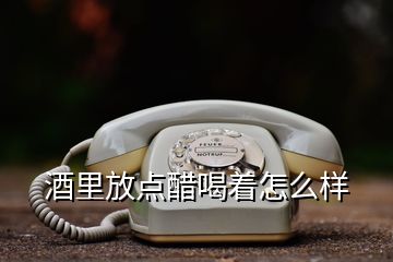 酒里放點醋喝著怎么樣