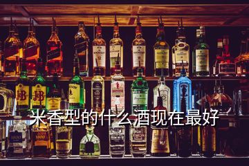 米香型的什么酒現(xiàn)在最好