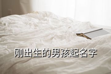 剛出生的男孩起名字