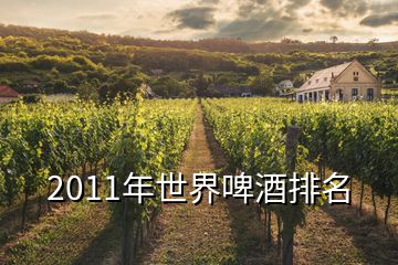 2011年世界啤酒排名