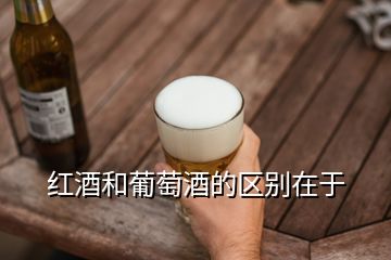 紅酒和葡萄酒的區(qū)別在于