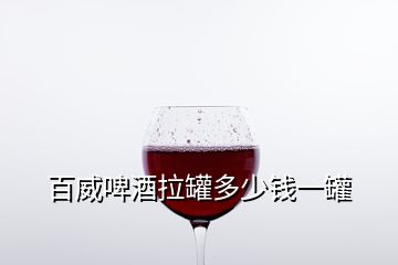 百威啤酒拉罐多少錢(qián)一罐