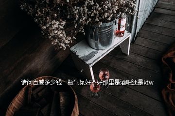 請問百威多少錢一瓶氣氛好不好那里是酒吧還是ktw