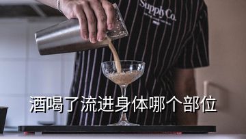 酒喝了流進身體哪個部位