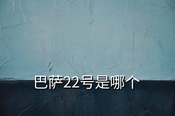 巴薩22號是哪個