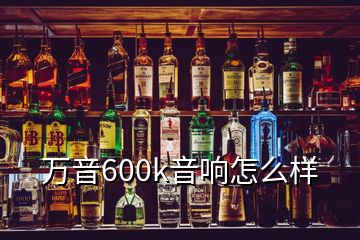 萬(wàn)音600k音響怎么樣