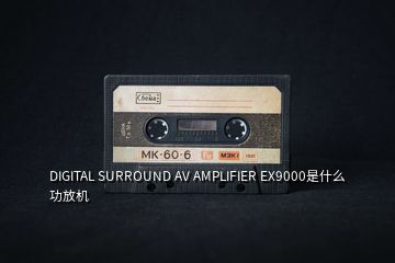 DIGITAL SURROUND AV AMPLIFIER EX9000是什么功放機