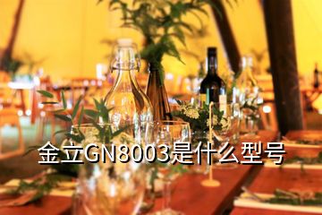 金立GN8003是什么型號