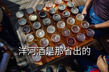 洋河酒是那省出的