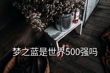 夢(mèng)之藍(lán)是世界500強(qiáng)嗎