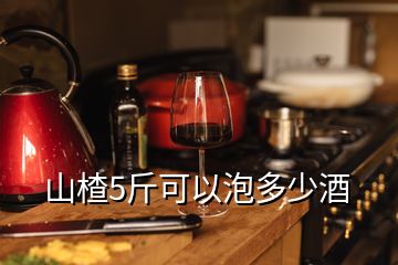 山楂5斤可以泡多少酒