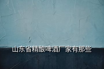 山東省精釀啤酒廠家有那些