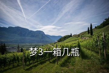 夢(mèng)3一箱幾瓶