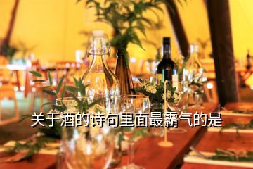 關于酒的詩句里面最霸氣的是