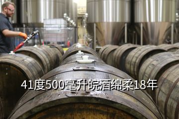 41度500毫升皖酒綿柔18年