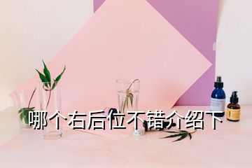 哪個(gè)右后位不錯(cuò)介紹下