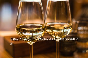 有48人個(gè)人票10元一人團(tuán)體50人以上打八折怎樣買(mǎi)票劃算為