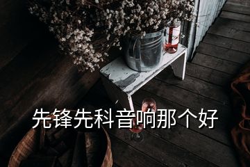 先鋒先科音響那個(gè)好