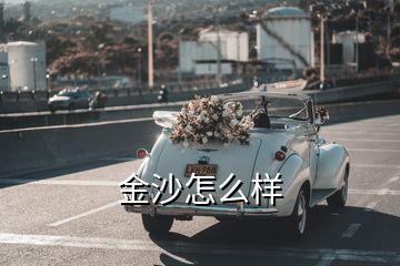 金沙怎么樣