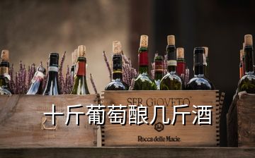 十斤葡萄釀幾斤酒