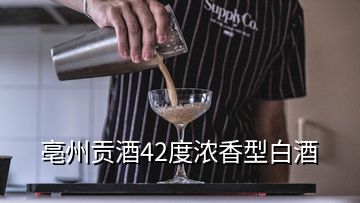 亳州貢酒42度濃香型白酒